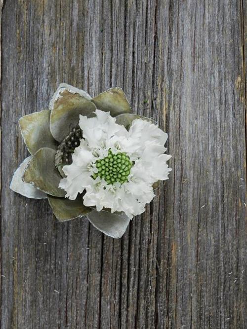 CAUCASIA WHITE SCABIOSA